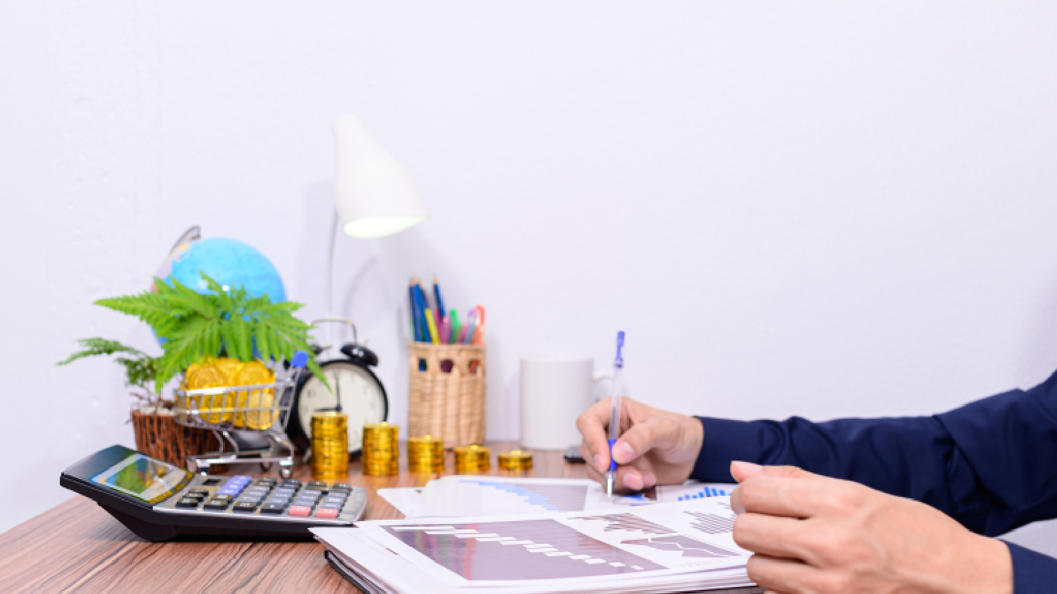 Financial Feasibility Report for Hotel Project- A Lender’s View